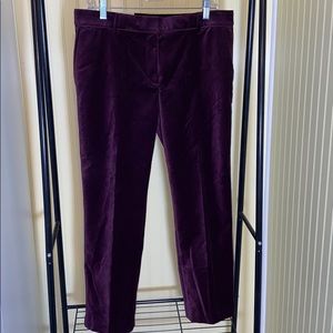 NWT Ann Taylor Devin Fit Trousers